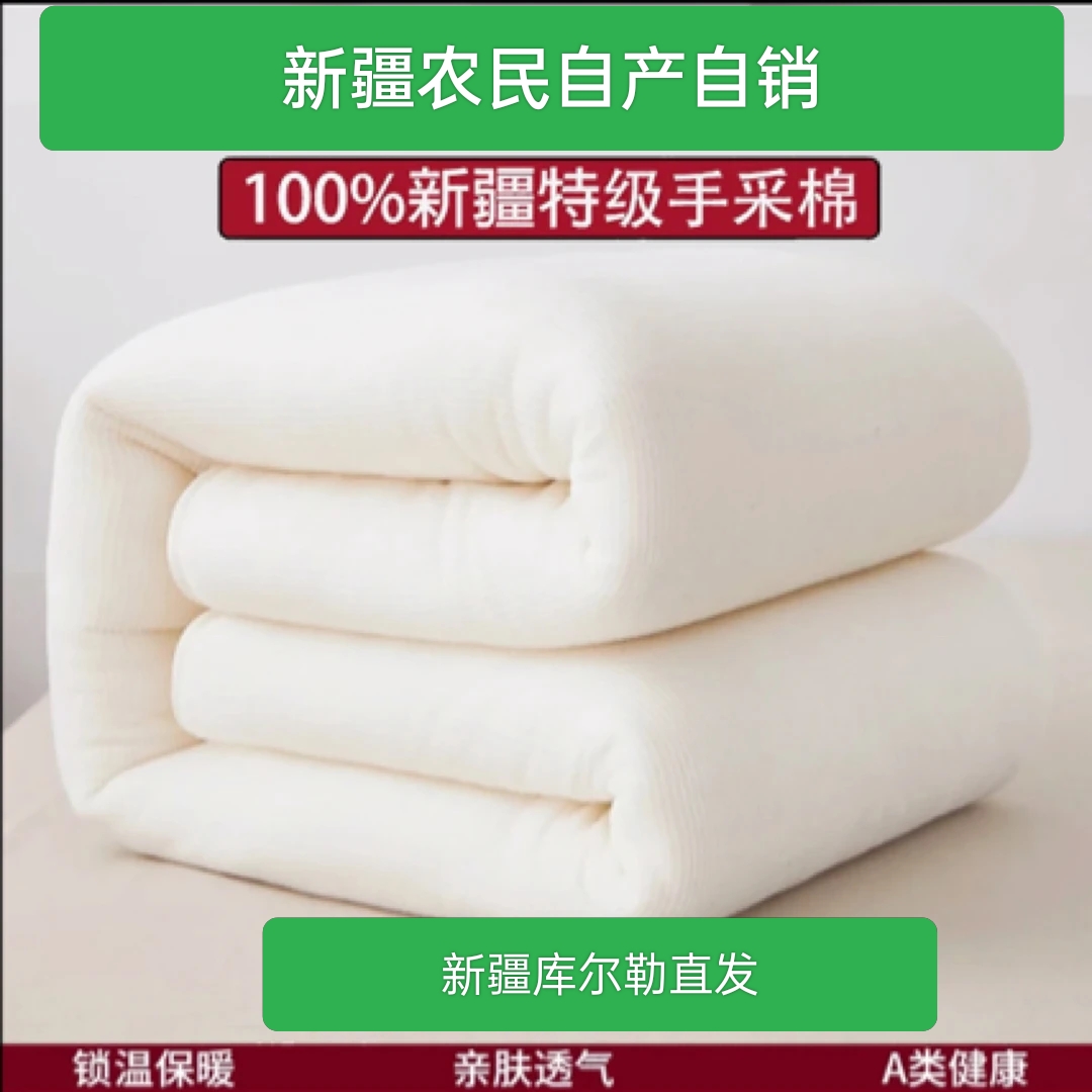 新疆棉花保暖春秋有网棉胎棉花被纯棉被芯冬被单人加厚床垫手工