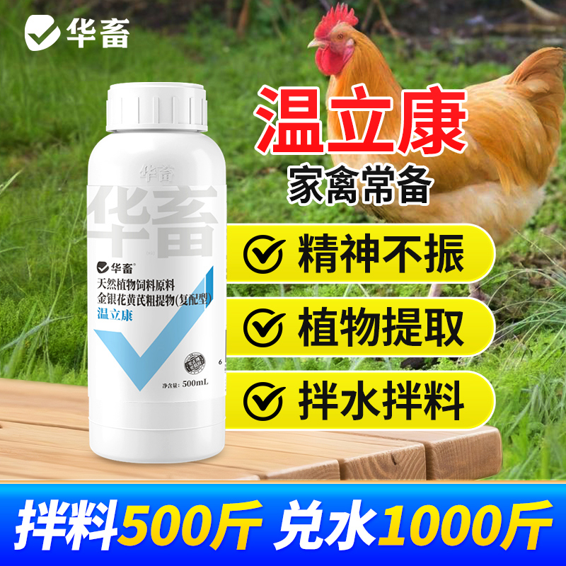 温立康500ml牛羊鸡鸭鹅兑水1000斤呼吸提免喘饲料鸡场用品添加剂s