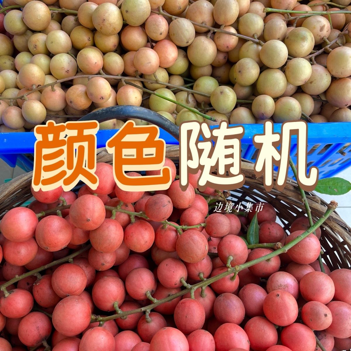 云南金平长寿之乡野生三丫果[八分甜两分酸带点微涩口]