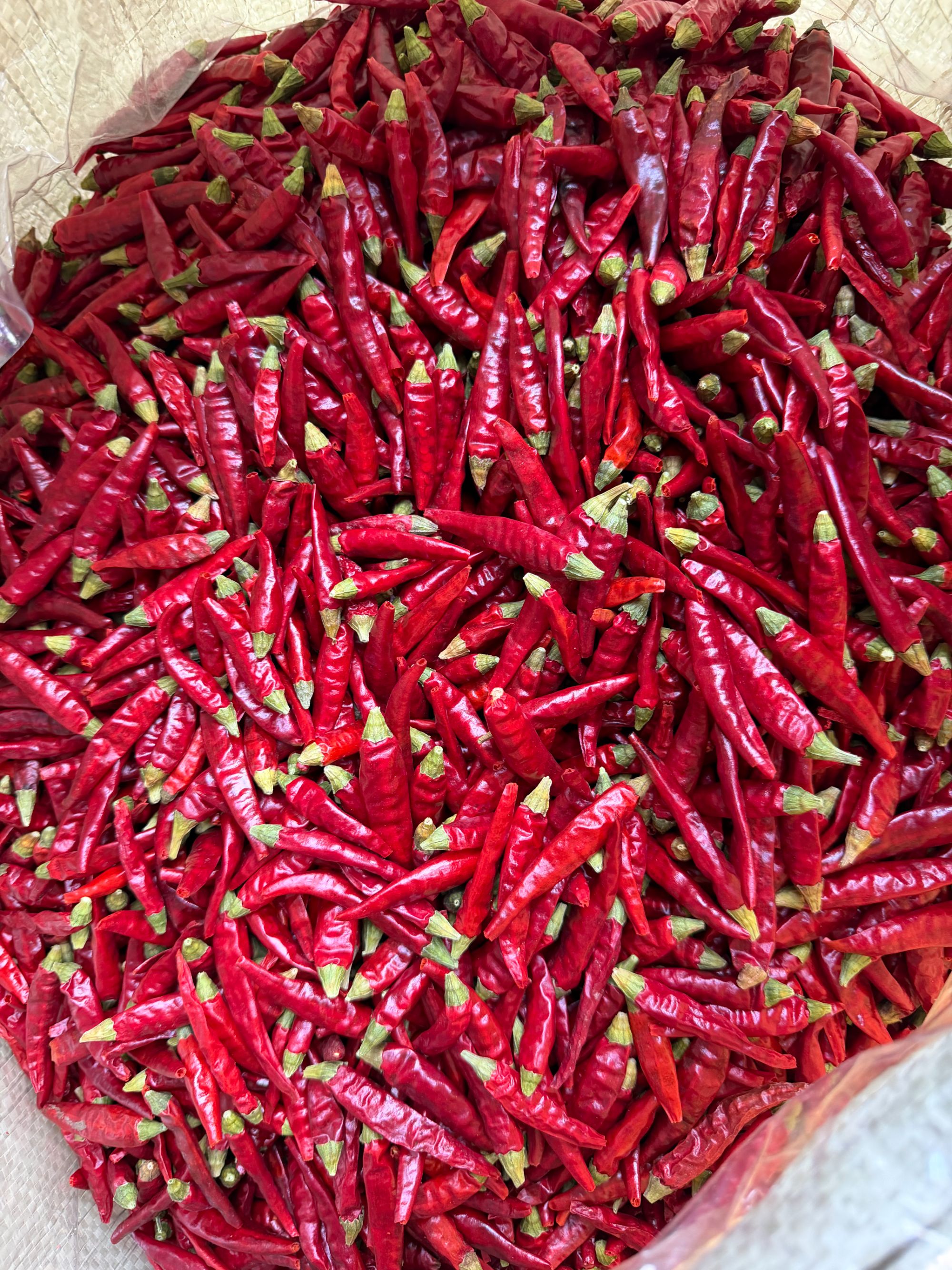 满天星干辣椒食材家中常备干货食材增辣提香