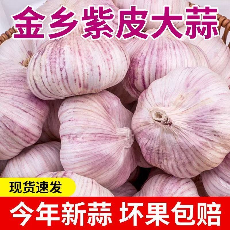 【到手25-30个】金乡紫白皮干大蒜新晒紫白皮干大蒜饱满香辣调味