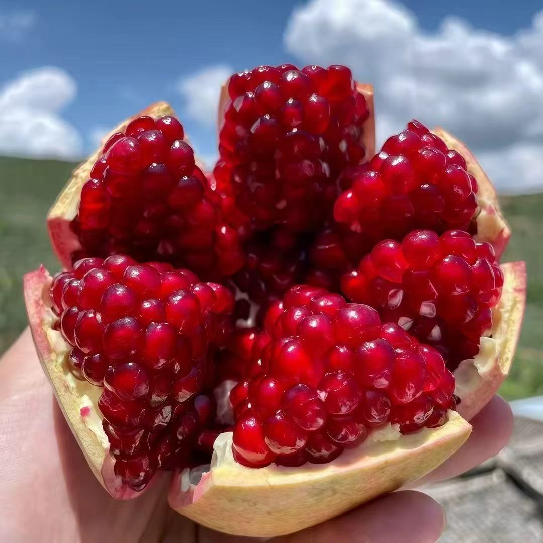 正宗会理突尼斯软籽石榴整箱5/9斤爆甜多汁新鲜水果坏果包赔果果C