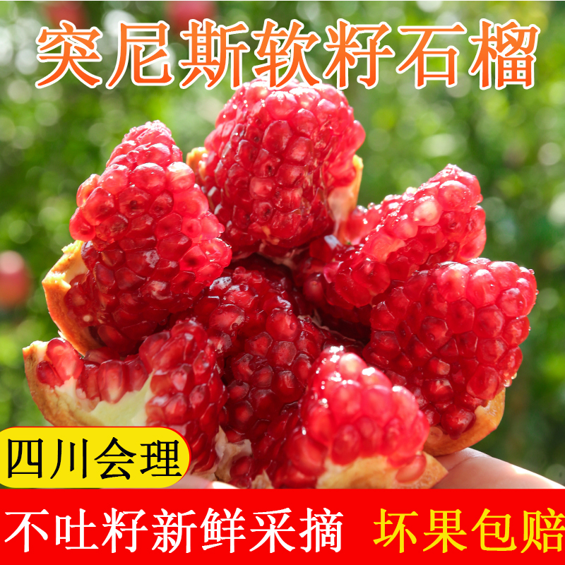 CXZ四川会理软籽石榴当季新鲜现摘爆甜多汁不吐籽