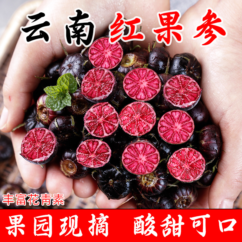 【云南红果参】新鲜采摘蜘蛛果当季高原稀有水果脆甜鲜嫩产地直发