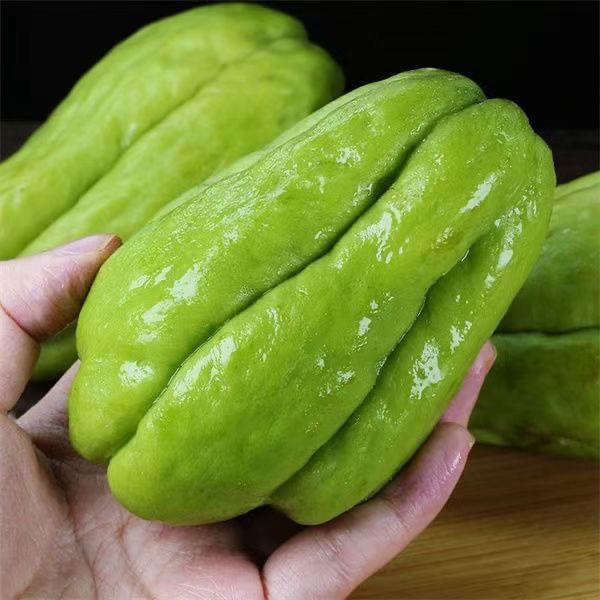 云南佛手瓜现摘新鲜福寿瓜洋丝瓜捧瓜应季蔬菜寿瓜