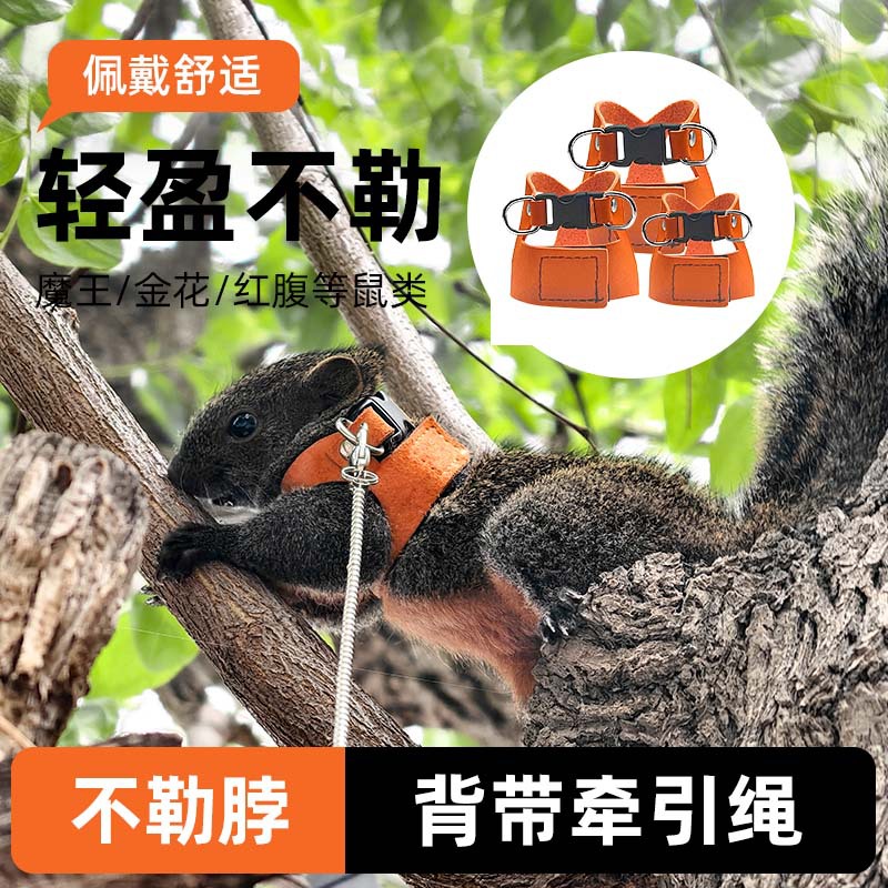 松鼠牵引绳小宠外出绳花枝鼠防咬外带防丢防飞防上树遛鼠玩具用品