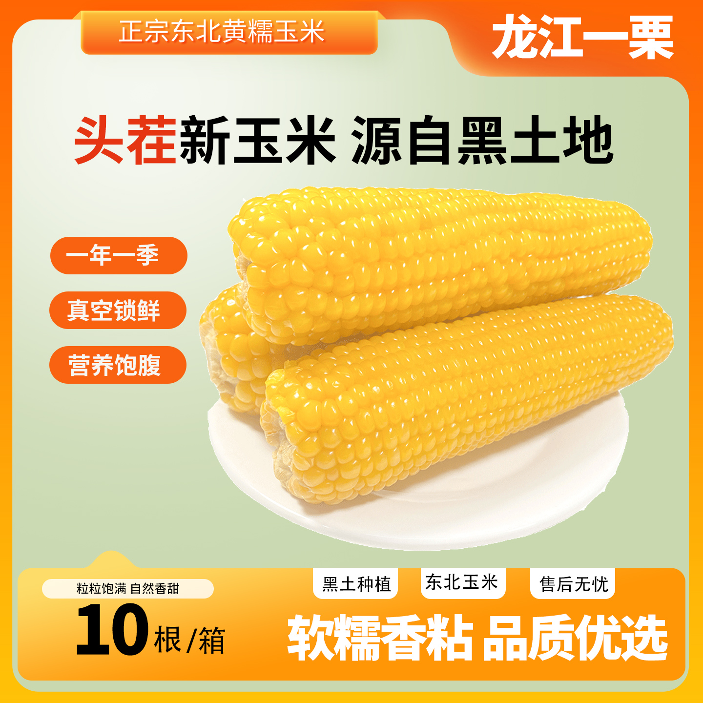 【25年头茬】正宗东北黄糯玉米香甜粘糯独立真空包装（试吃2棒）