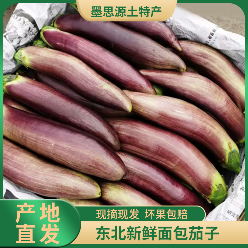 面包茄子东北特产面包茄子新鲜现摘软烂易熟下饭菜3/5斤包邮