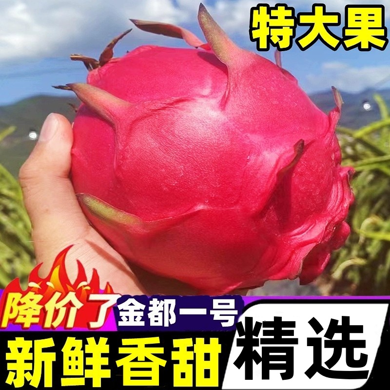 广西红心火龙果新鲜水果大果当季现摘金都一号红心密宝心整箱