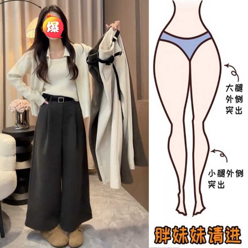 Aimeerosa/艾洛莎韩系简约百搭毛呢休闲裤2025新款高腰九分阔腿裤