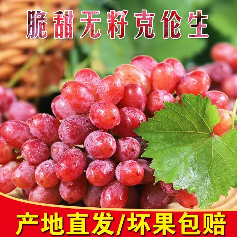 顺丰包邮【克伦生无籽红提葡萄】新鲜头茬克伦生小糖豆克伦森提子