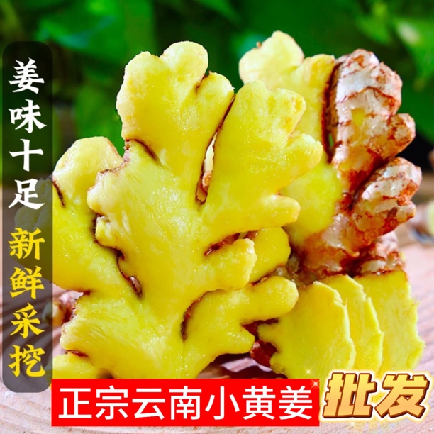 【5斤精品】新鲜云南小黄姜地道小黄姜8倍姜香浓郁生姜老姜新鲜生姜
