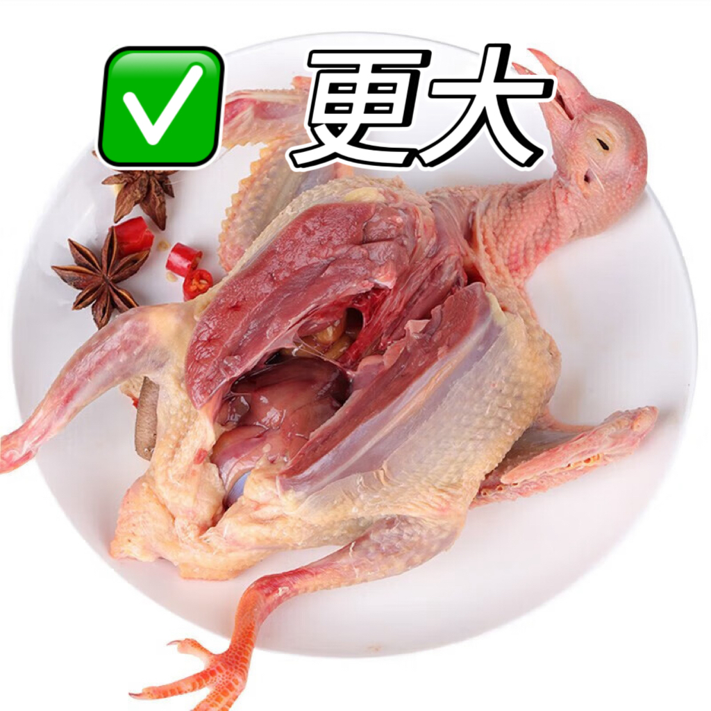 【更大更老】5只农家放养土鸽宰杀整只新鲜鸽子肉