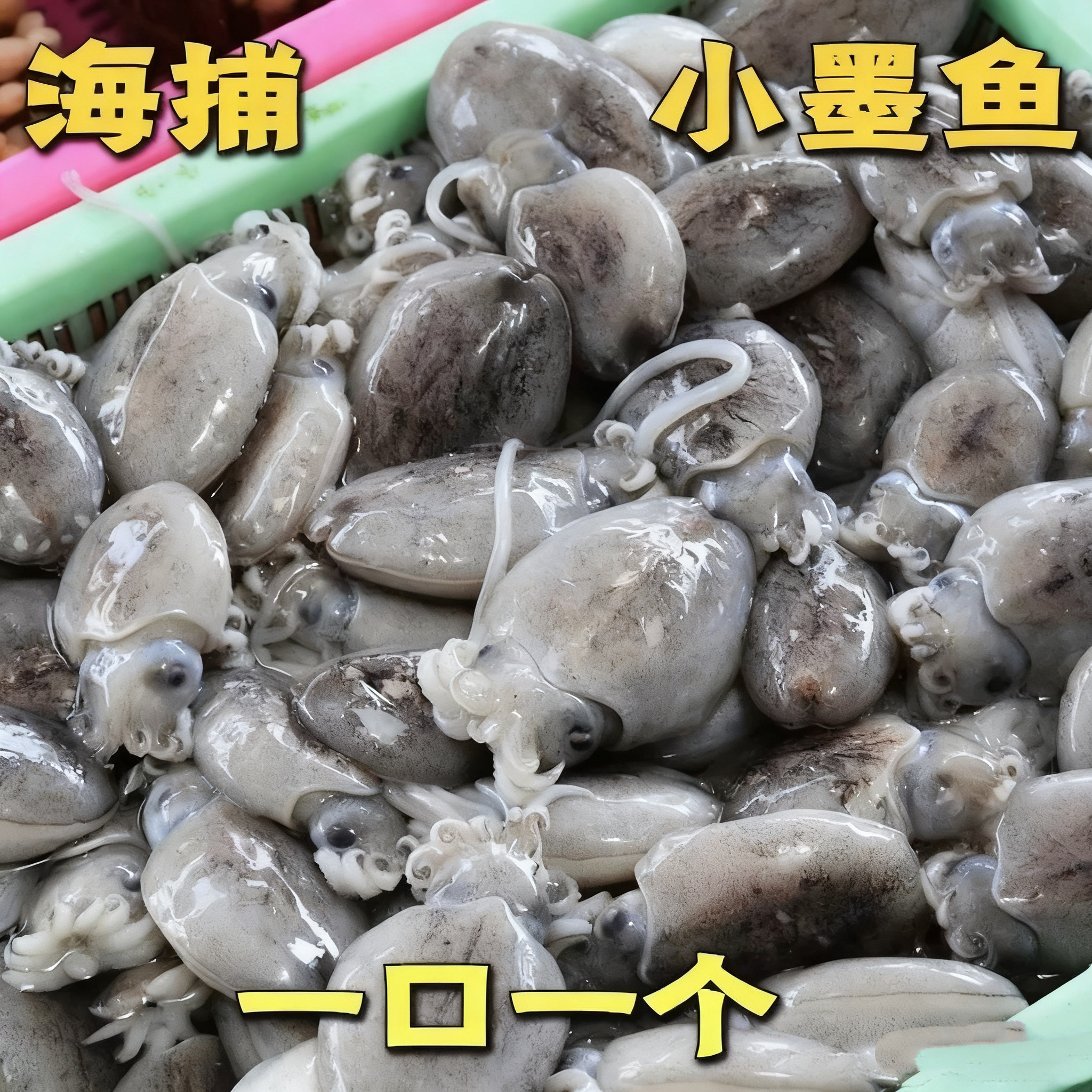新鲜海捕小墨鱼仔5斤一口一个速冻锁鲜冰鲜美味到手5斤