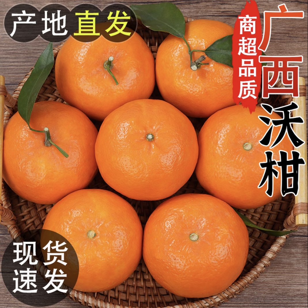 【现摘现发】正宗云南高山沃柑新鲜水果当季柑橘皮薄香甜多汁