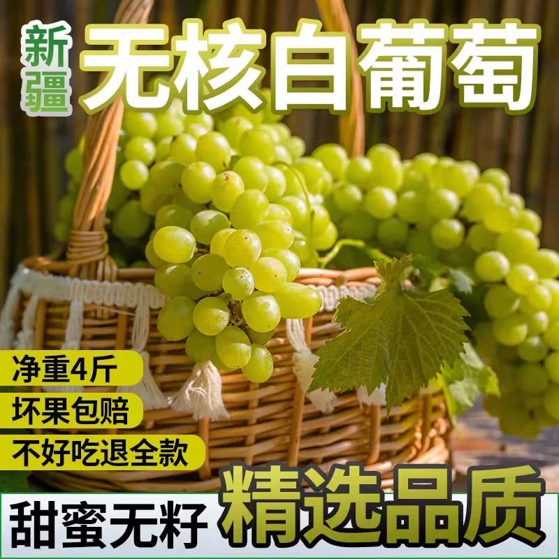 【顺丰冷链】新疆正宗无核白葡萄4斤无籽新鲜水果孕妇宝妈放心吃