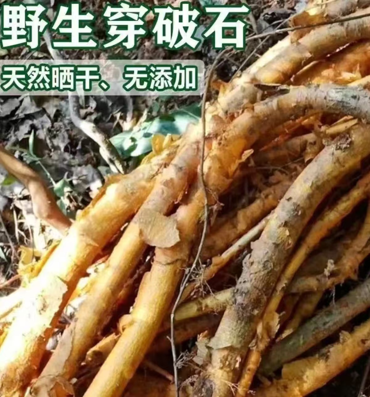 深山穿破石九层皮（买一斤穿破石送一斤茯苓）