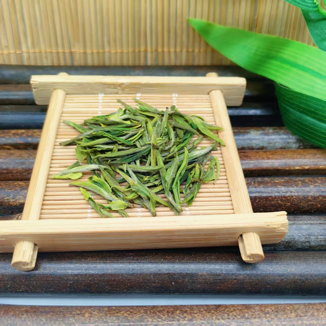 2025 天目青顶 头采土茶种