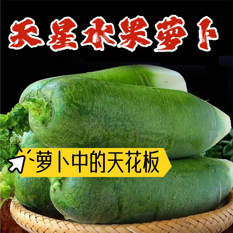 潍坊高口感水果萝卜清脆清甜去皮生吃净重5斤