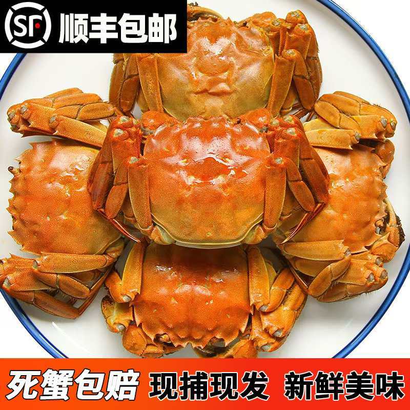 大闸蟹活蟹 3两母 十只装 顺丰/京东鲜活发货