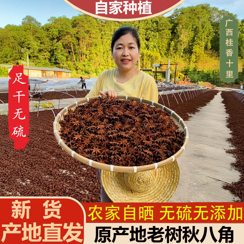 广西大红八角老树足干无硫八角大料深山秋收八角香料家用调味料