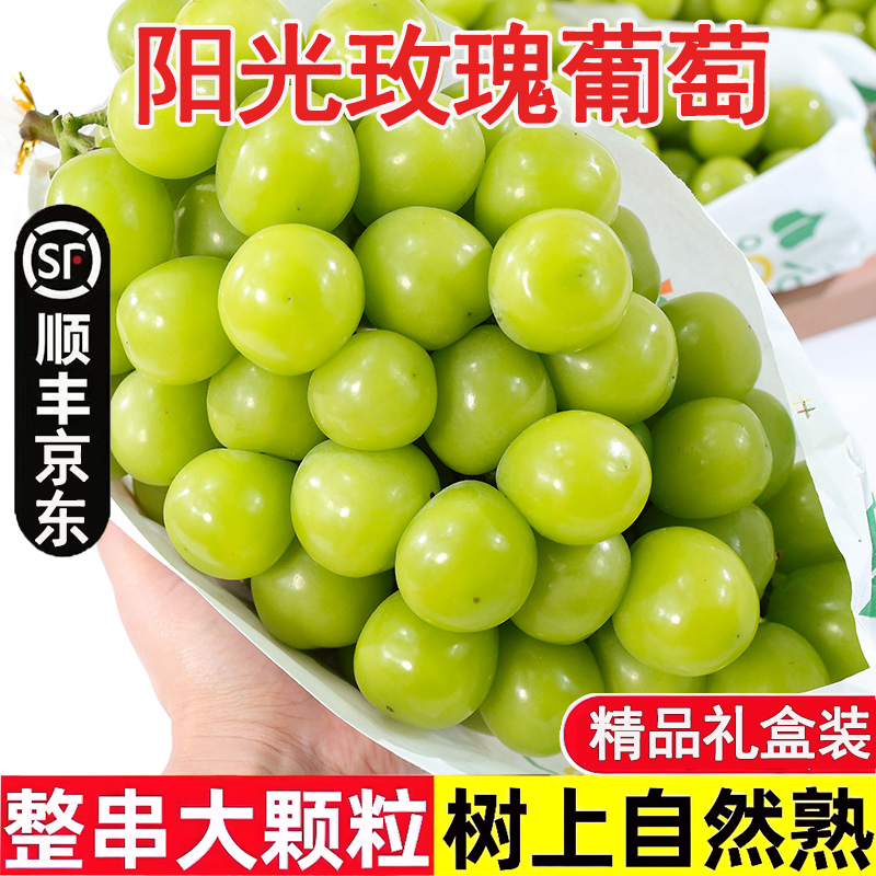 【基地头茬直采】LL高原阳光玫瑰无籽葡萄晴王香印青提新鲜水果3斤