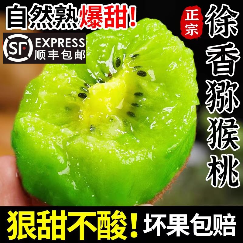 【鲜铺子】【顺丰包邮】陕西徐香猕猴桃 正宗新鲜水果 纯甜绿心奇异果