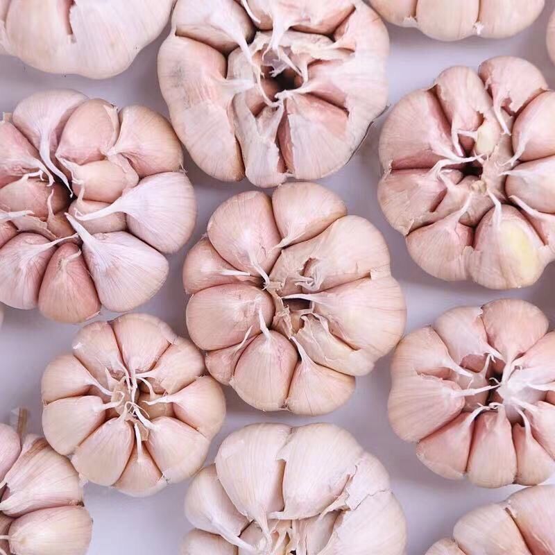 3斤装大蒜头】干大蒜今年新干蒜紫白皮蒜提香厨房炒菜必备2-3斤