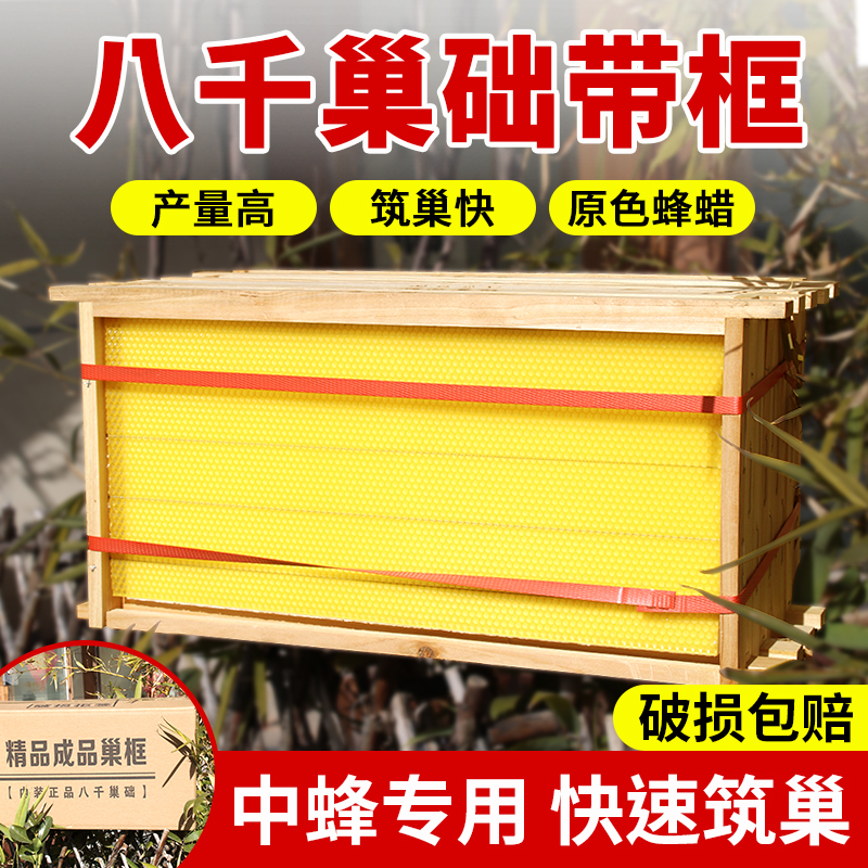 八千成品巢框带础巢巢脾中蜂专用巢框意蜂蜜脾框架蜂场养殖物资