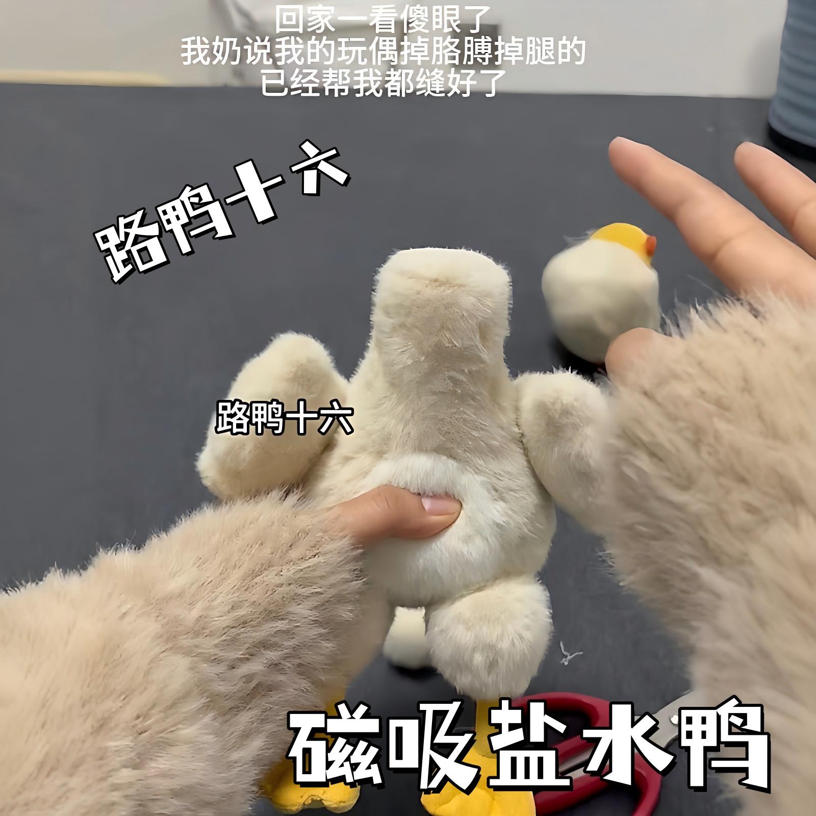 【玩个很新的东西】磁吸盐水鸭可拆卸毛绒玩具搞怪玩偶公仔小礼物