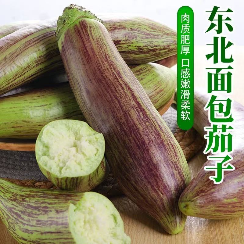 东北面包茄子现摘新鲜茄子