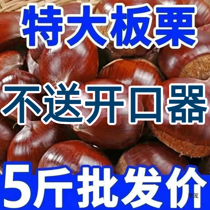 【不送开口器】新鲜丹东生板栗正宗高山老树栗子非油栗非锥栗难剥皮