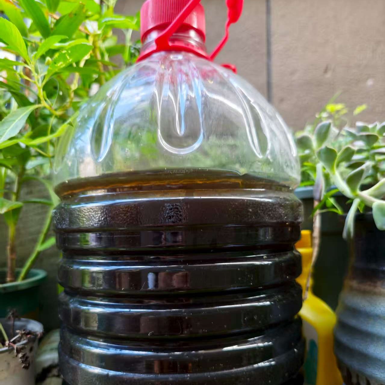 大促销发酵腐熟羊尿水溶肥斤5斤