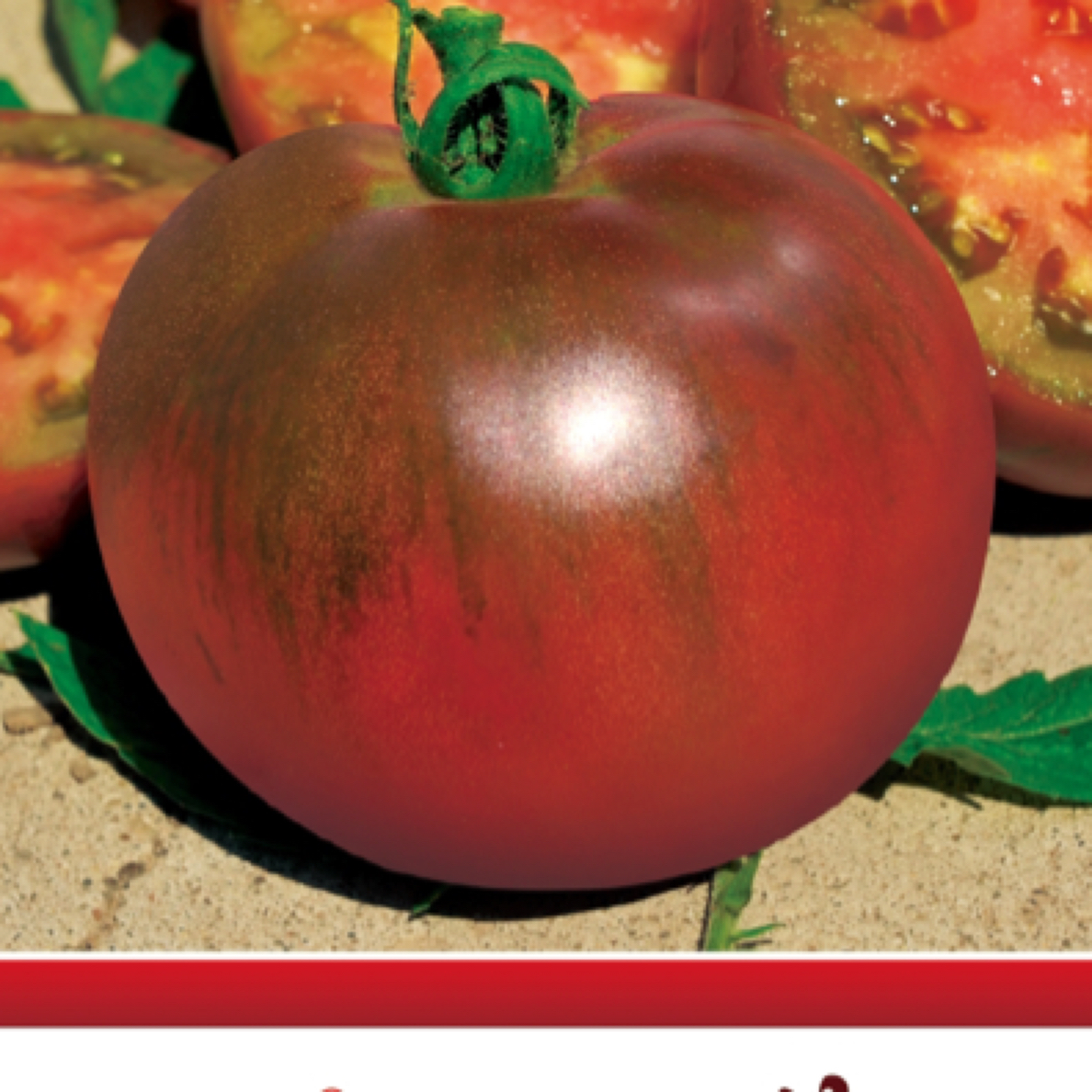 老品种大果紫红玫瑰沙瓤甜番茄种子