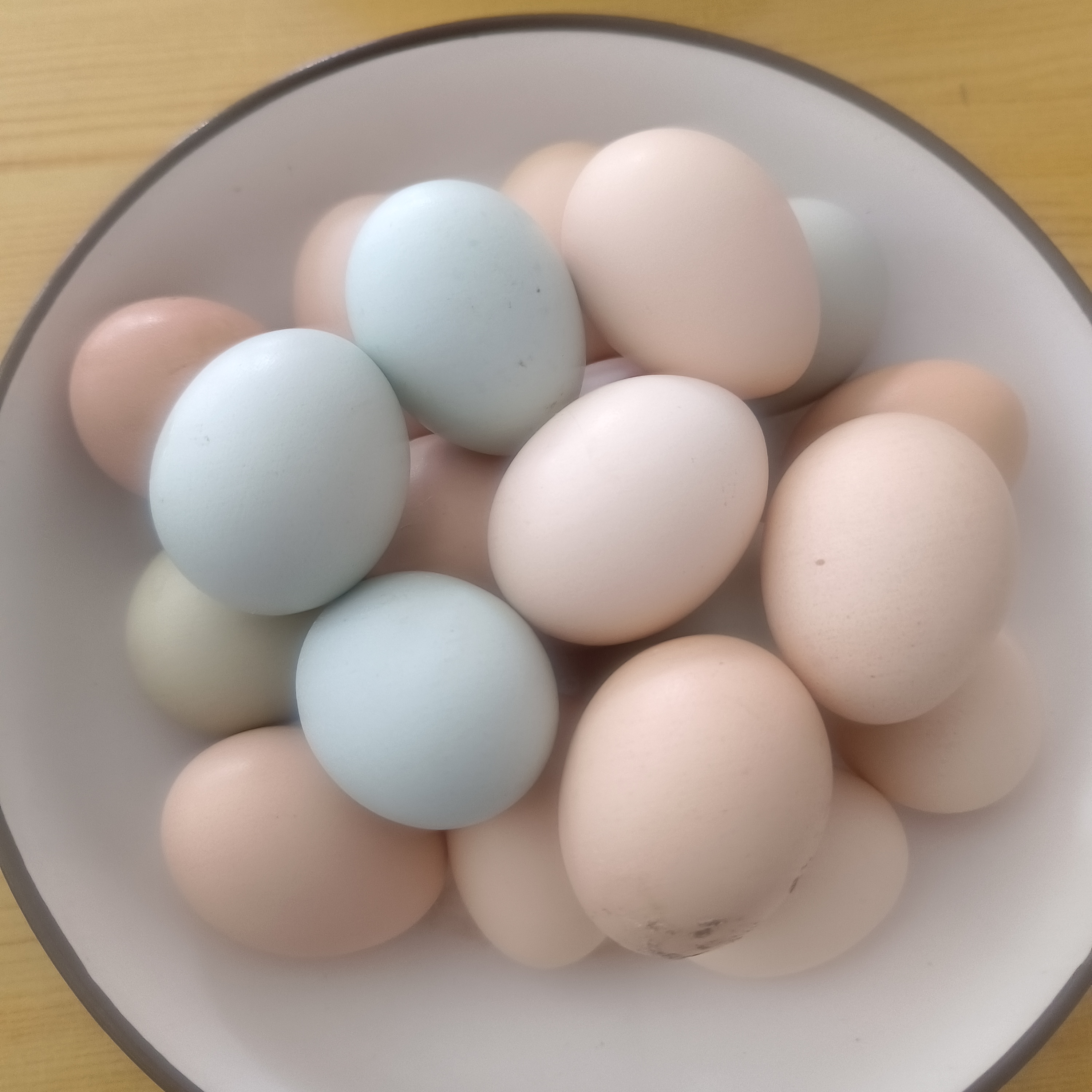 正宗农家散养土鸡蛋粮食树林鸡鸡蛋现捡现发坏包赔五谷营养鸡蛋