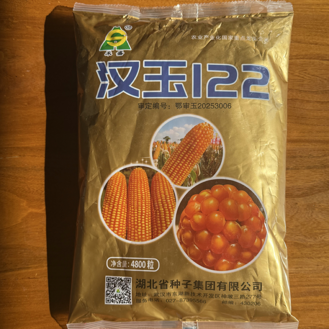 湖北种子集团汉玉122优质黄金品质