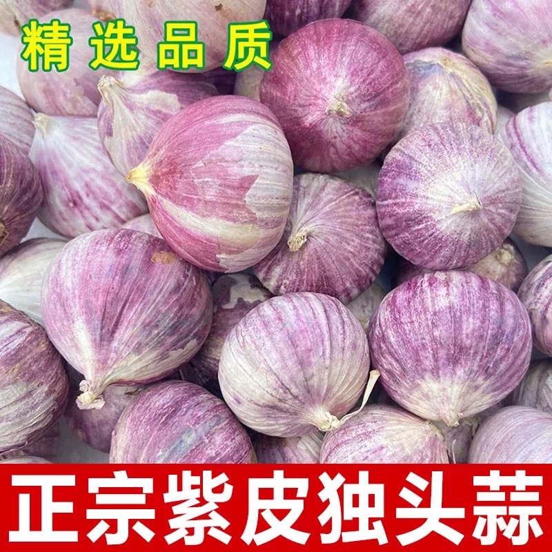 【今年干蒜】新鲜干蒜紫皮独头蒜大蒜红皮大蒜头香蒜红蒜独蒜