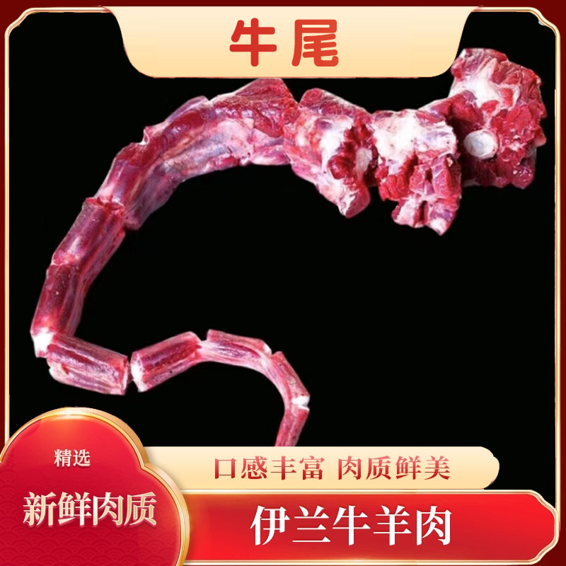 （伊兰美食）清真牛尾 冷冻发货牛尾带尾椎骨