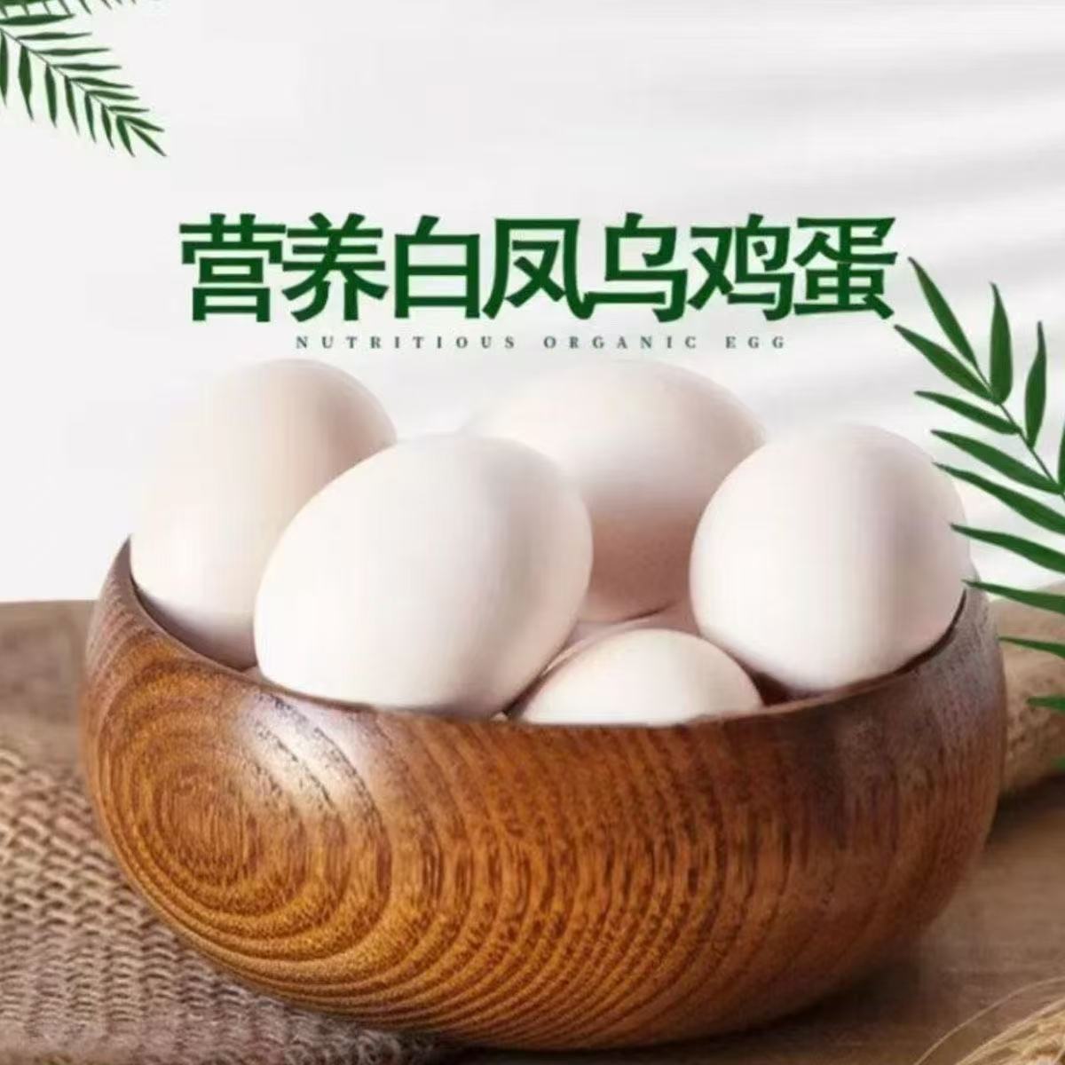 【50枚】白凤乌鸡蛋农家散养土鸡蛋现捡现发谷物喂养破损包赔