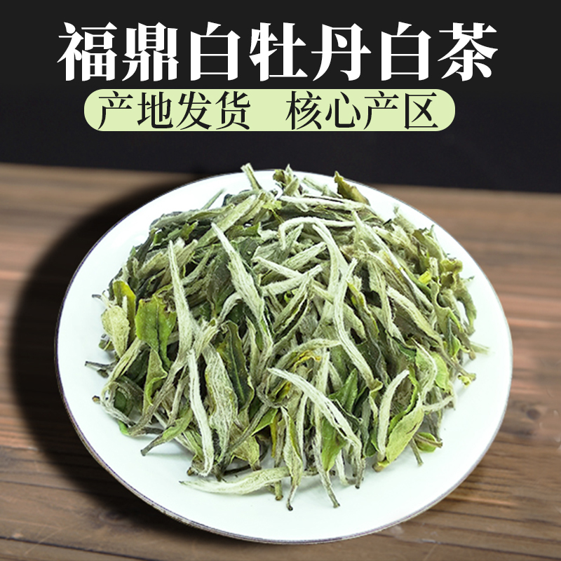 福鼎大白茶花香白牡丹散茶 正宗茶叶福建高山500克散装袋装耐泡