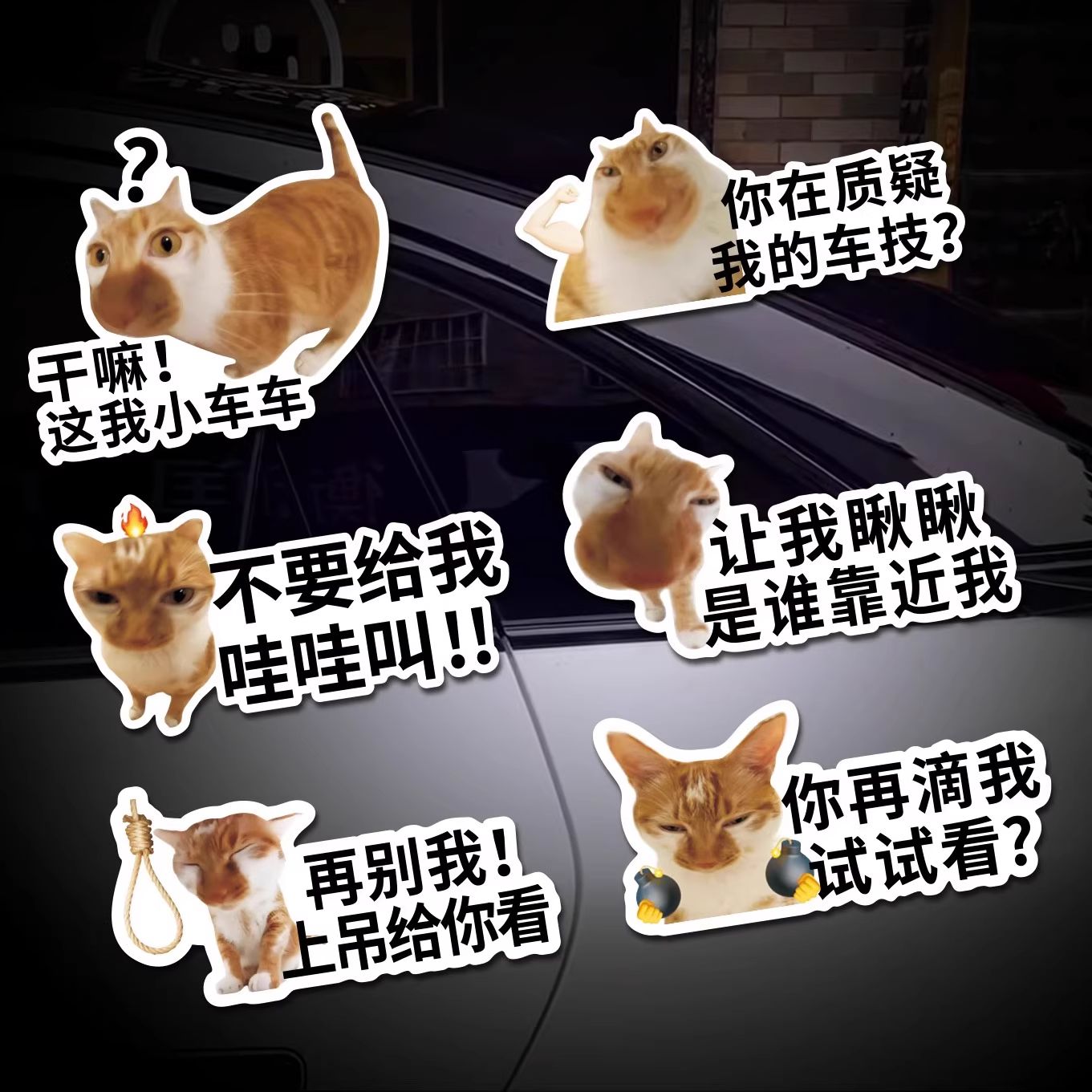 干嘛这我小车车贴纸meme猫咪搞笑表情包文字磁吸创意车尾装饰防水