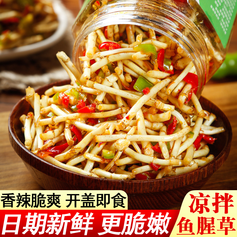 土腊匠凉拌鱼腥草新鲜折耳根香辣油辣椒酱罐装嫩芽剁椒即食下饭菜