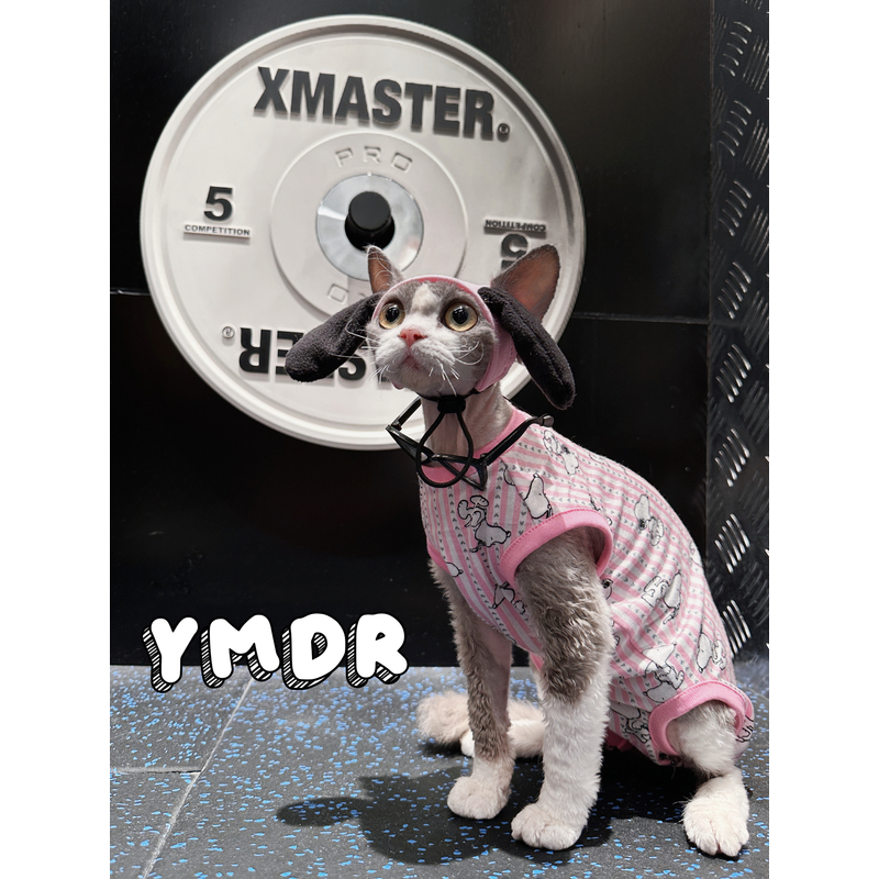 帽YMDR德文猫帽子无毛猫四脚背心莫代尔夏凉绝育护肚衣史努比帽子