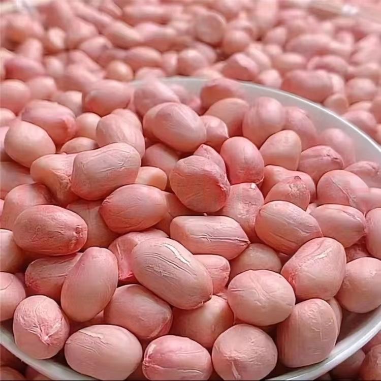 2025当季精选五斤新鲜大粒白沙生花生米现剥无壳新货新鲜三斤10斤