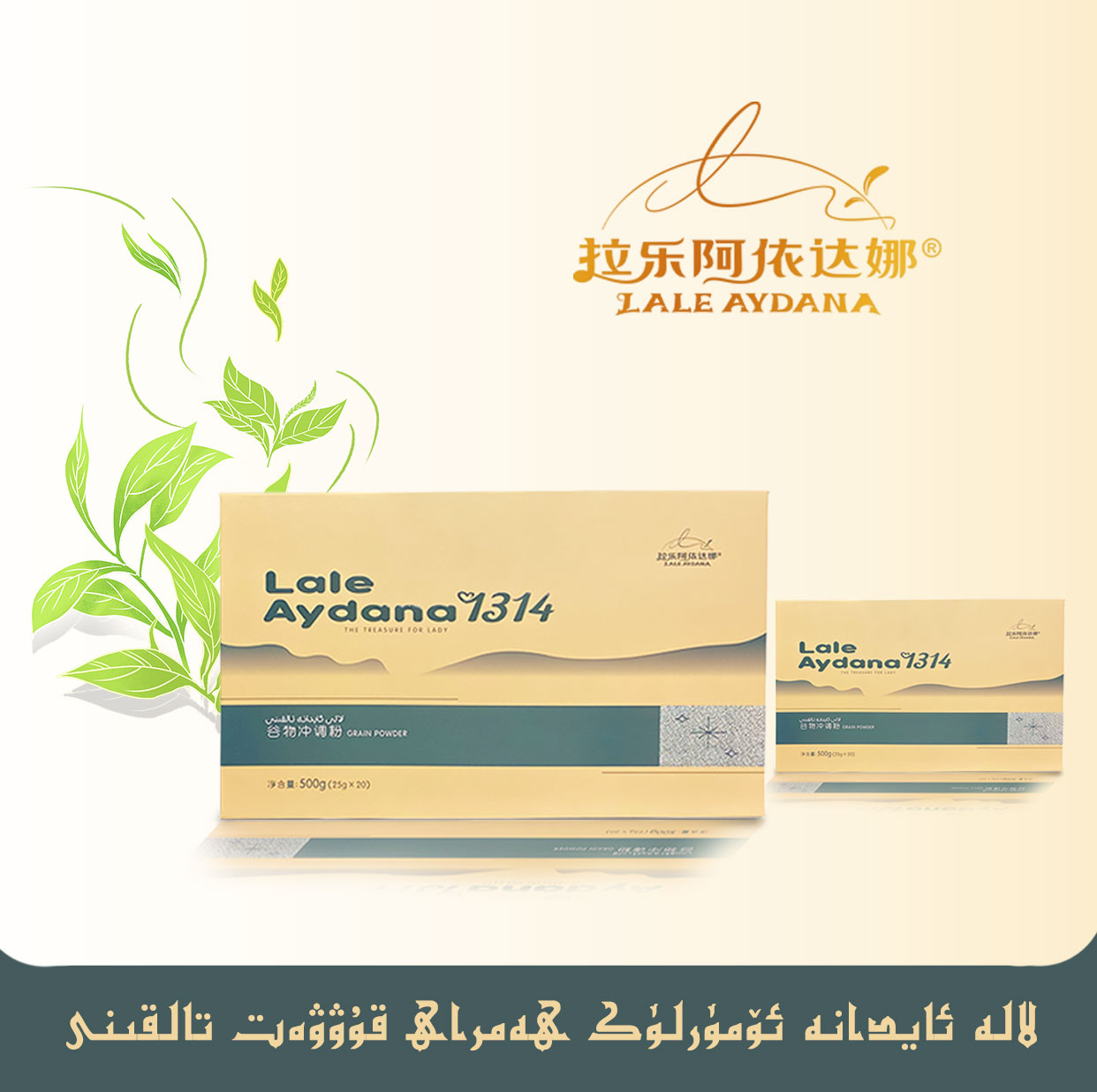 Lale Aydana松蘑茯苓豆浆粉【新疆包邮】拆开不能退货