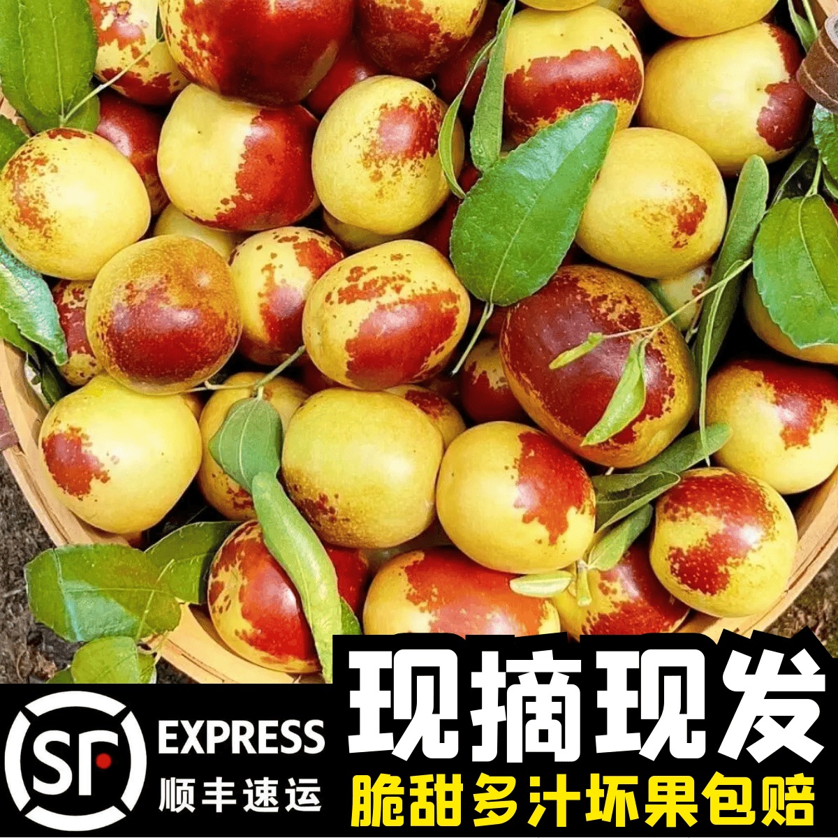 【爆甜一级】正宗沾化冰糖冬枣脆甜新鲜青冬枣孕妇水果整箱批发