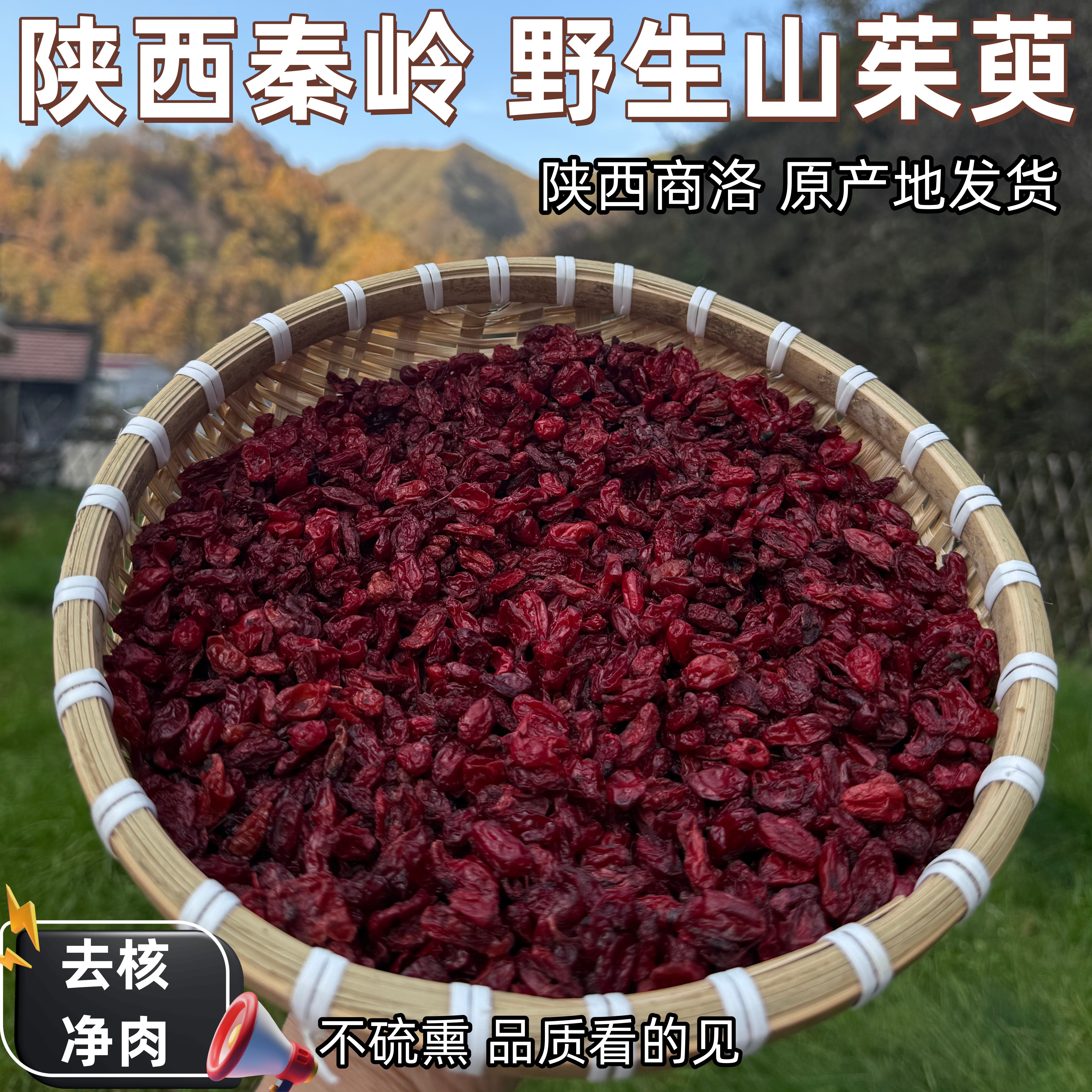 【产地直销】秦岭野生山茱萸无核枣皮深山新货山萸肉无硫泡酒泡水喝