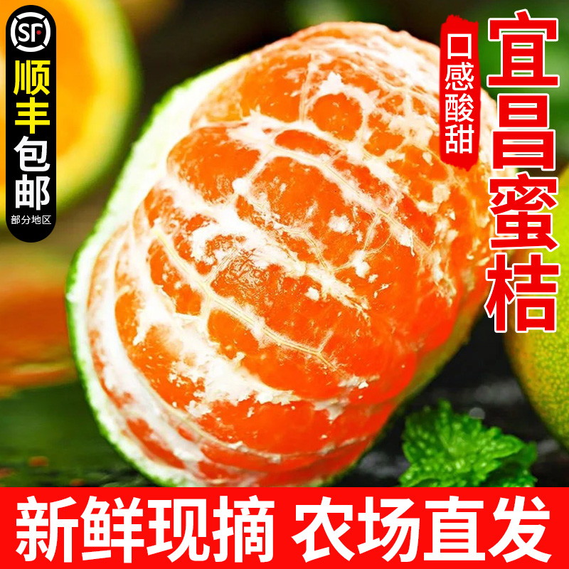 【精品桔 顺丰包邮】正宗湖北宜昌青皮蜜桔无籽橘新鲜水果酸甜多汁
