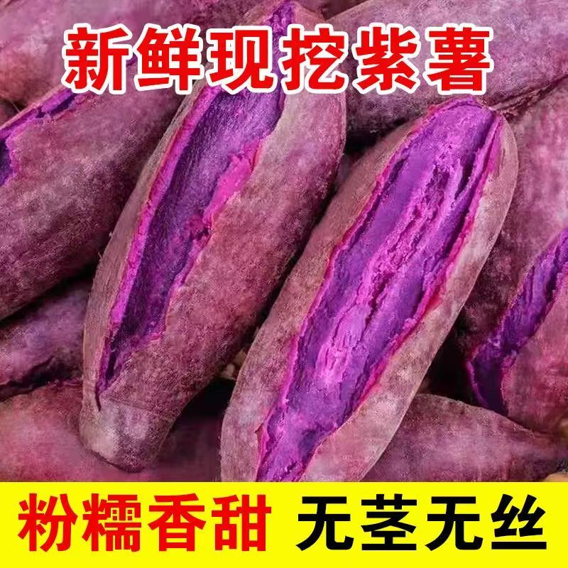 新鲜沙地紫罗兰紫薯粉糯香甜粗粮代餐红薯地瓜紫薯沙地紫薯