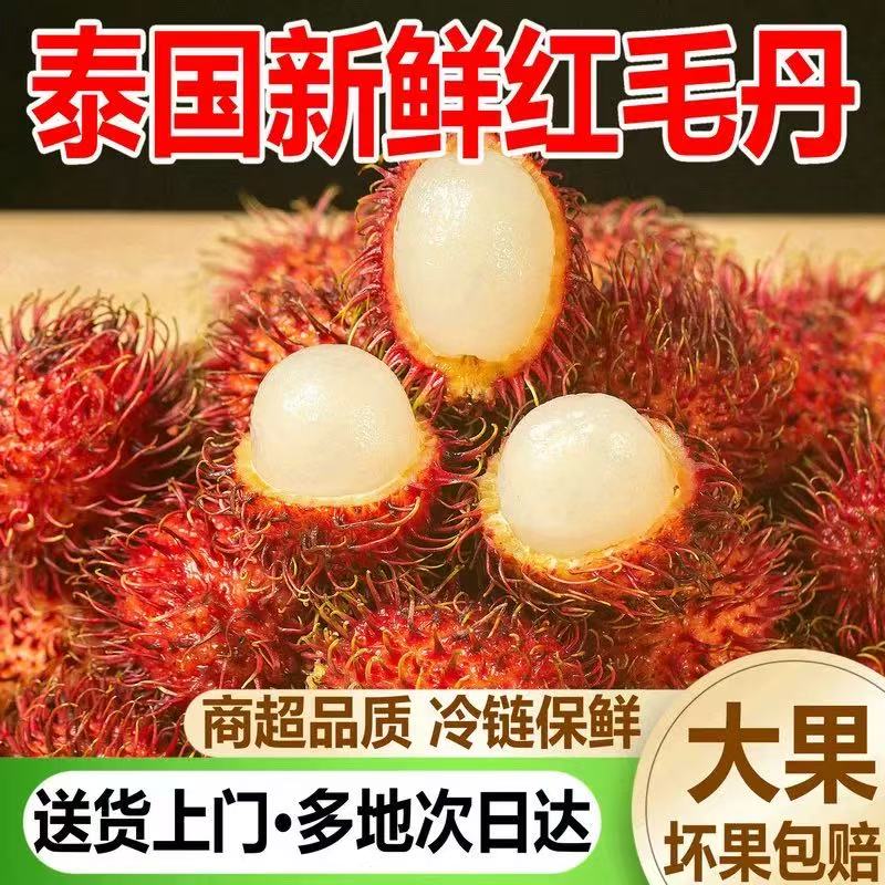 【现货速发】泰国老树红毛丹甄选精品当季热带水果新鲜采摘坏果包赔